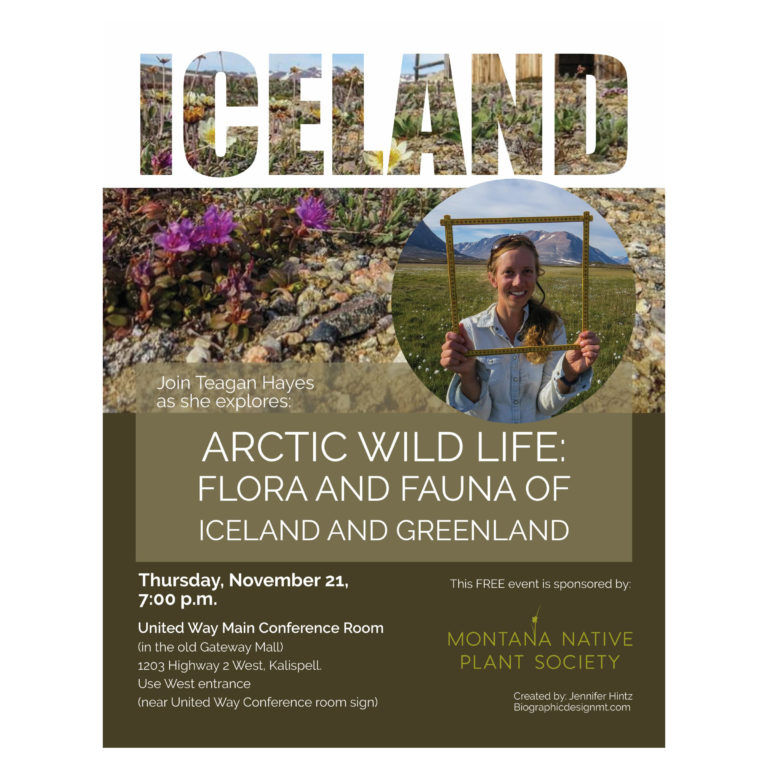 Teagan_poster_final_compressed_for_website