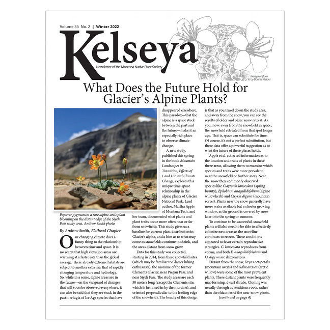 Kelseya_Winter_Cover