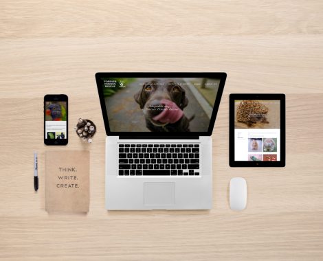 Forever Friends Pet Rescue website on laptop, tablet and cell phone