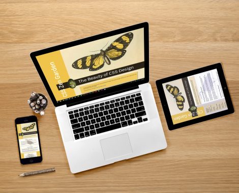 CSS Zen Garden with Biological Illustrations on laptop, tablet and cell phone