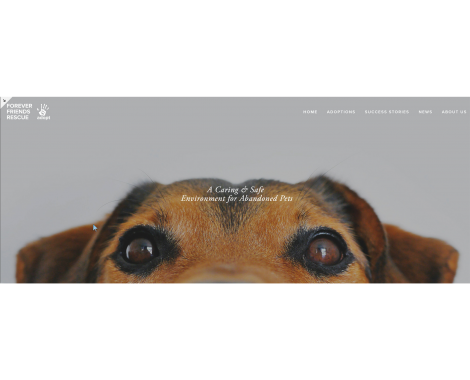 ffr_home_page_for_website