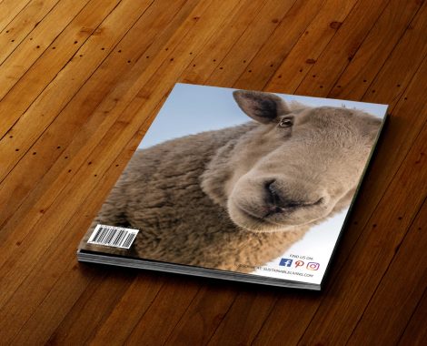 magazine-mockup_back