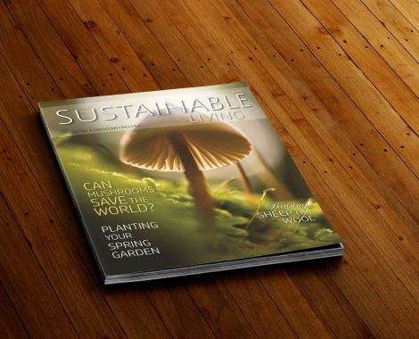 magazine-mockup_cover_for_web