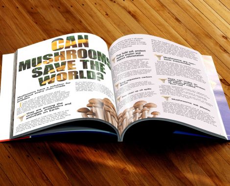 magazine-mockup_mushroom_internal_pages_for_web