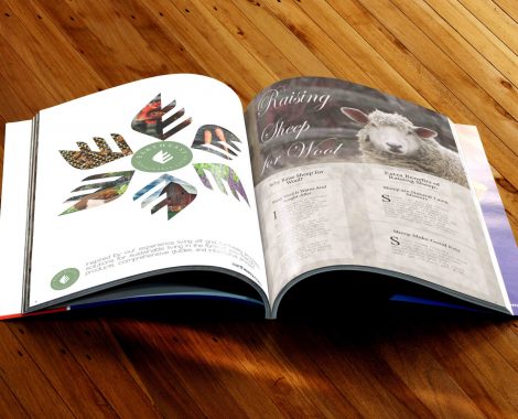 magazine-mockup_sheep_internal_pages_for_web