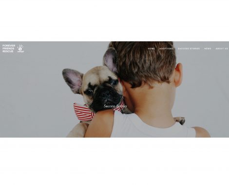 success_stories_for_website